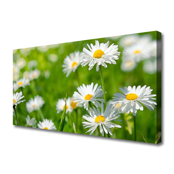 Tablou pe panza canvas Daisy Floral Galben Alb