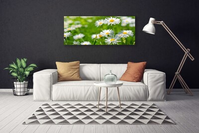 Tablou pe panza canvas Daisy Floral Galben Alb