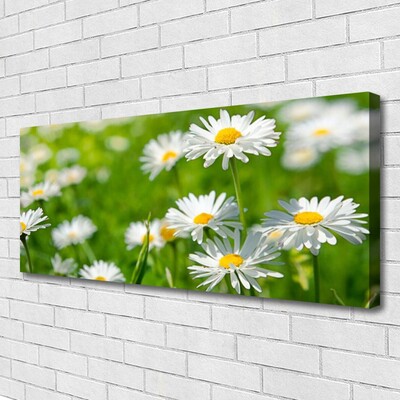 Tablou pe panza canvas Daisy Floral Galben Alb