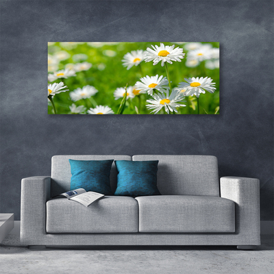 Tablou pe panza canvas Daisy Floral Galben Alb