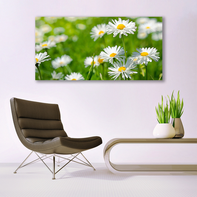 Tablou pe panza canvas Daisy Floral Galben Alb