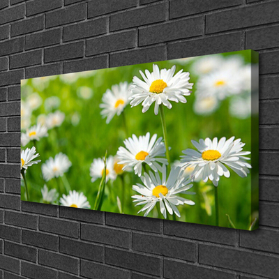 Tablou pe panza canvas Daisy Floral Galben Alb