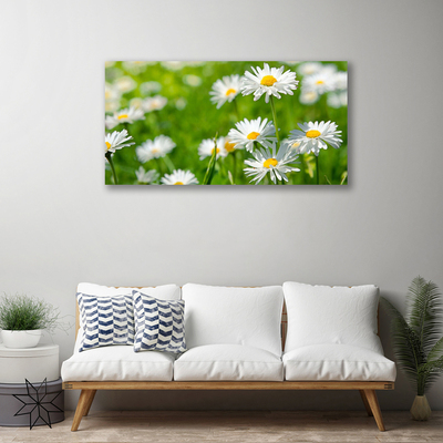 Tablou pe panza canvas Daisy Floral Galben Alb