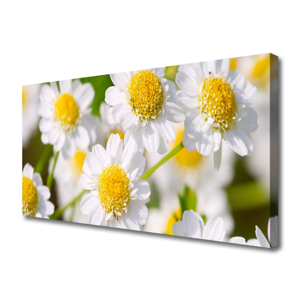 Tablou pe panza canvas Daisy Floral Galben Alb