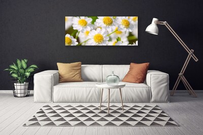 Tablou pe panza canvas Daisy Floral Galben Alb