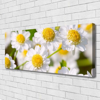 Tablou pe panza canvas Daisy Floral Galben Alb