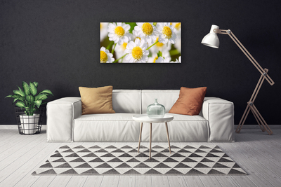 Tablou pe panza canvas Daisy Floral Galben Alb