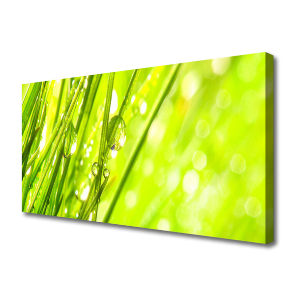 Tablou pe panza canvas Weed Natura verde