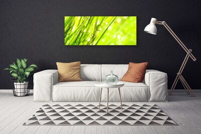 Tablou pe panza canvas Weed Natura verde