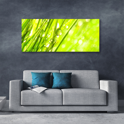 Tablou pe panza canvas Weed Natura verde