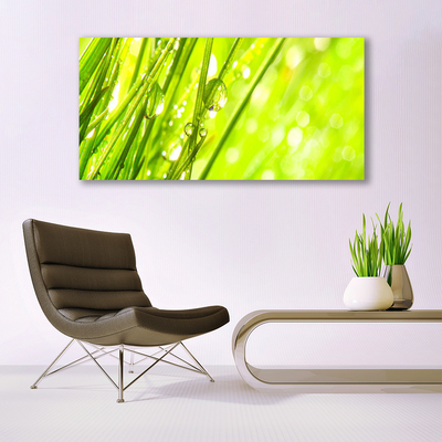 Tablou pe panza canvas Weed Natura verde