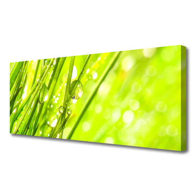 Tablou pe panza canvas Weed Natura verde