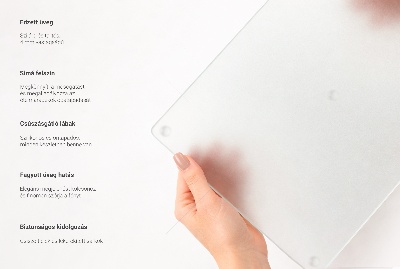 Placă de protecție pentru plita Dreptunghiular semi-transparent