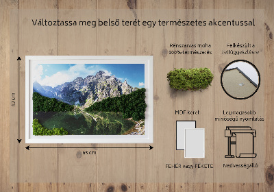 Tablou muschi licheni Munții Tatra - Morskie Oko