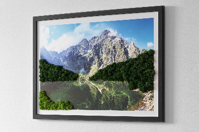 Tablou muschi licheni Munții Tatra - Morskie Oko
