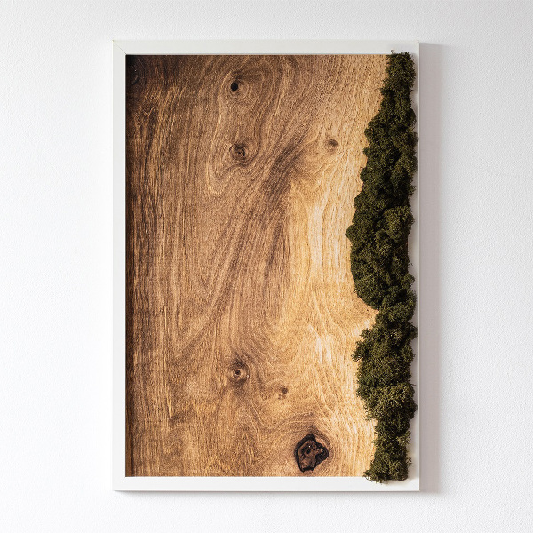 Tablou muschi licheni Stejar natural