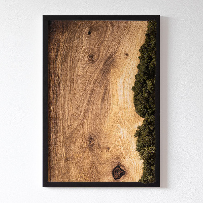 Tablou muschi licheni Stejar natural