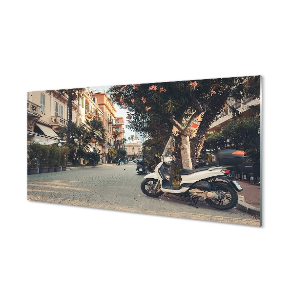 Tablouri pe sticlă Motociclete urbane de palmier de vară