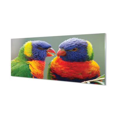 Tablouri pe sticlă papagal colorat