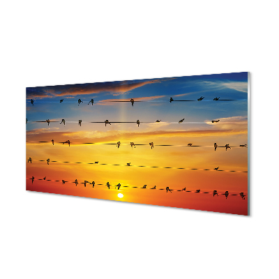 Tablouri pe sticlă Păsări pe apus de soare frânghii