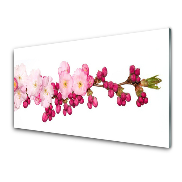 Tablou pe sticla Flower Branch Floral roz