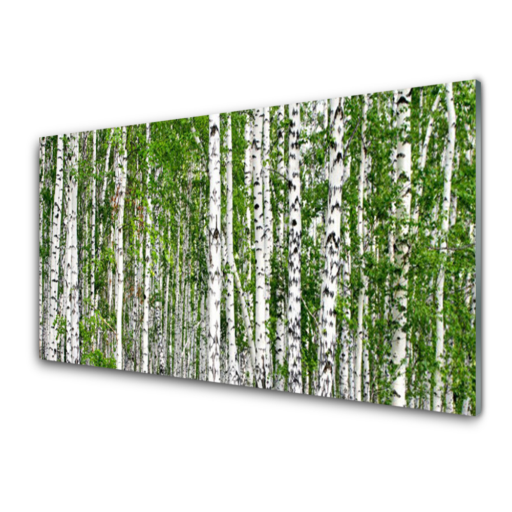 Tablou pe sticla Birch Forest Copaci Natura Verde Alb