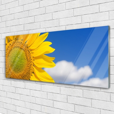 Tablou pe sticla Nori de floarea-soarelui Floral aur galben albastru