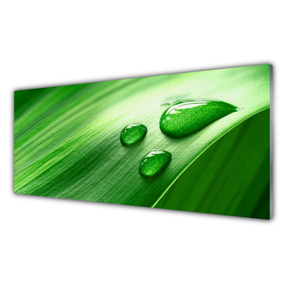 Tablou pe sticla Frunze de apă Picături Floral Verde