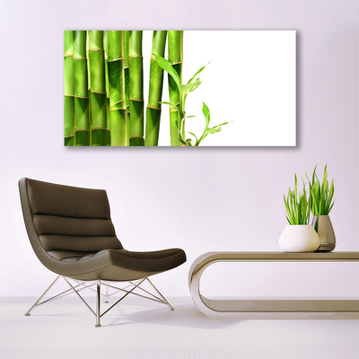 Tablou pe sticla Bamboo Floral Verde Alb