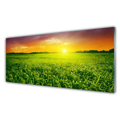Tablou pe sticla Cereale Câmp Sunrise Floral Verde Roșu