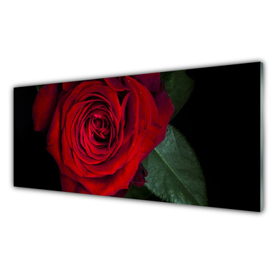 Tablou pe sticla Rose Floral Roșu Verde Negru