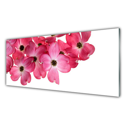 Tablou pe sticla Flori Floral Roz Alb