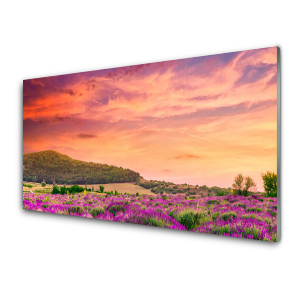 Tablou pe sticla Meadow Flori Peisaj Purple Verde Roz