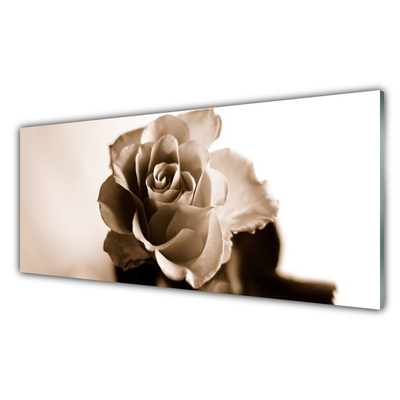 Tablou pe sticla Rose Floral Sepia