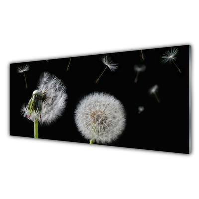 Tablou pe sticla Păpădie Floral Alb Negru