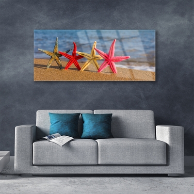 Tablou pe sticla Plaja Starfish Art Multi