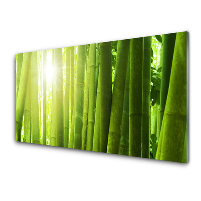 Tablou pe sticla Bamboo Floral Verde