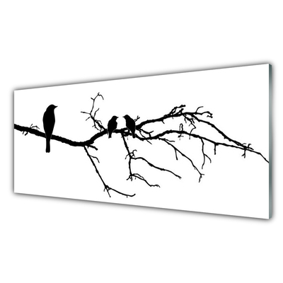 Tablou pe sticla Păsări Branch Art Negru