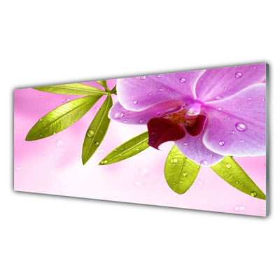 Tablou pe sticla Frunze florale flori roz verde