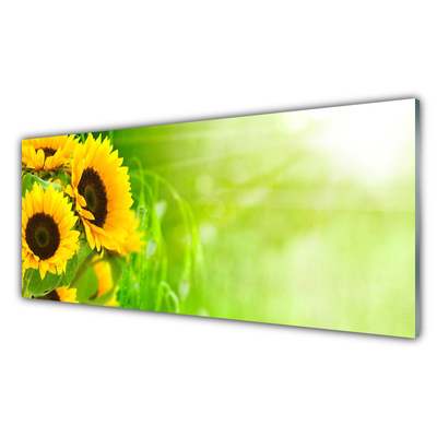 Tablou pe sticla Floarea soarelui Floral Brun Galben Verde
