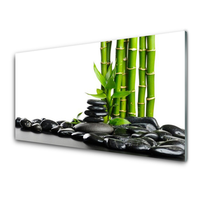 Tablou pe sticla Bamboo Pietre Arta Verde Negru