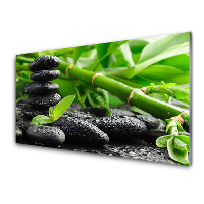Tablou pe sticla Bamboo Pietre Floral Verde Negru