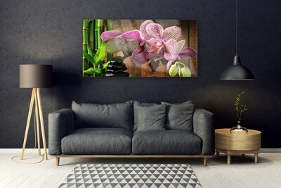 Tablou pe sticla Flori de bambus pietre Floral Verde Negru Roz