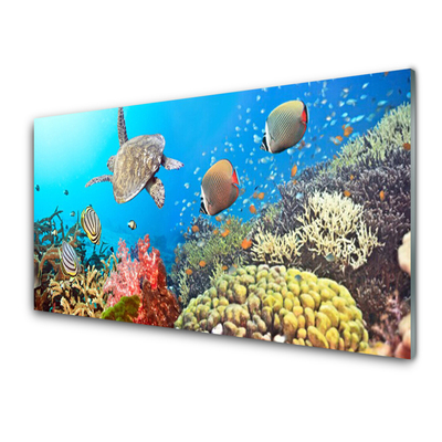 Tablou pe sticla Coral Reef Peisaj Multi