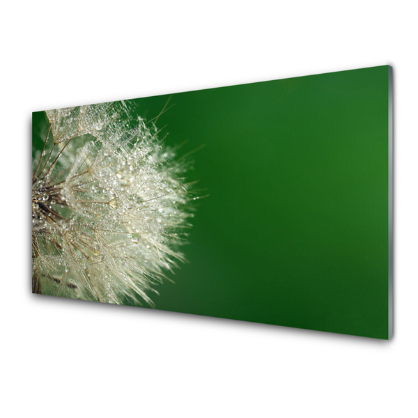 Tablou pe sticla Păpădie Floral Alb Verde