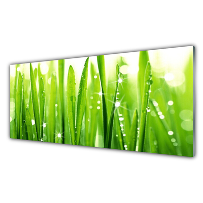 Tablou pe sticla Iarbă verde florale