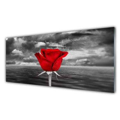 Tablou pe sticla Rose Floral Roșu Gri