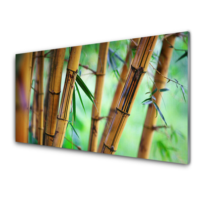 Tablou pe sticla Bamboo Natura Galben