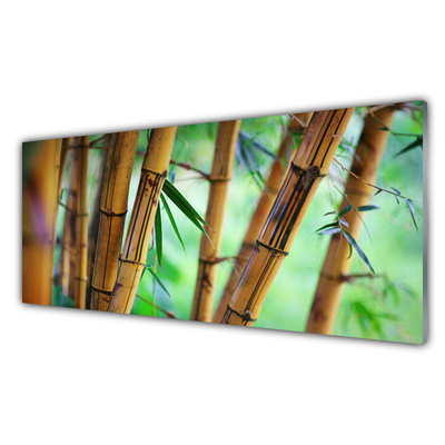 Tablou pe sticla Bamboo Natura Galben