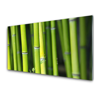 Tablou pe sticla Bamboo Natura Verde